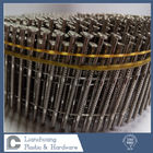 Roofing And Siding Stainless Steel Coil Nails , Ring Shank Flat Head Nail