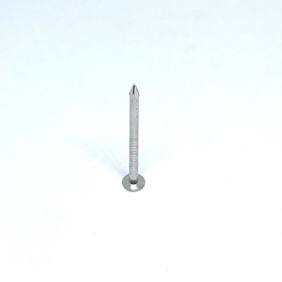 কাঠের জন্য চারটি ফাঁকা শ্যাঙ্ক ফ্ল্যাট হেড 2.8X30 মিমি এ 4 স্টেইনলেস স্টিল নখ