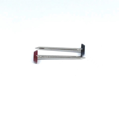 3.0X50MM ছাদের জন্য বাঁকানো রিং শ্যাঙ্ক প্লাস্টিকের মাথার পেরেক
