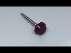 স্টেইনলেস স্টিল প্লাস্টিক হেড পেরেক